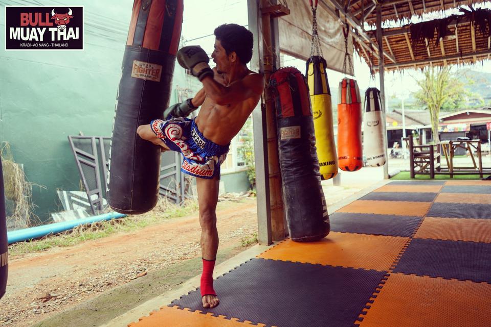 bull-muay-thai-training-bag-kick