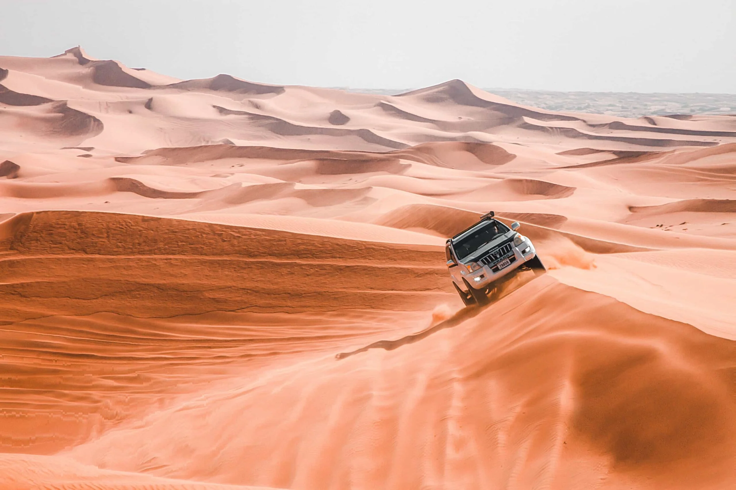 review desert safari dubai